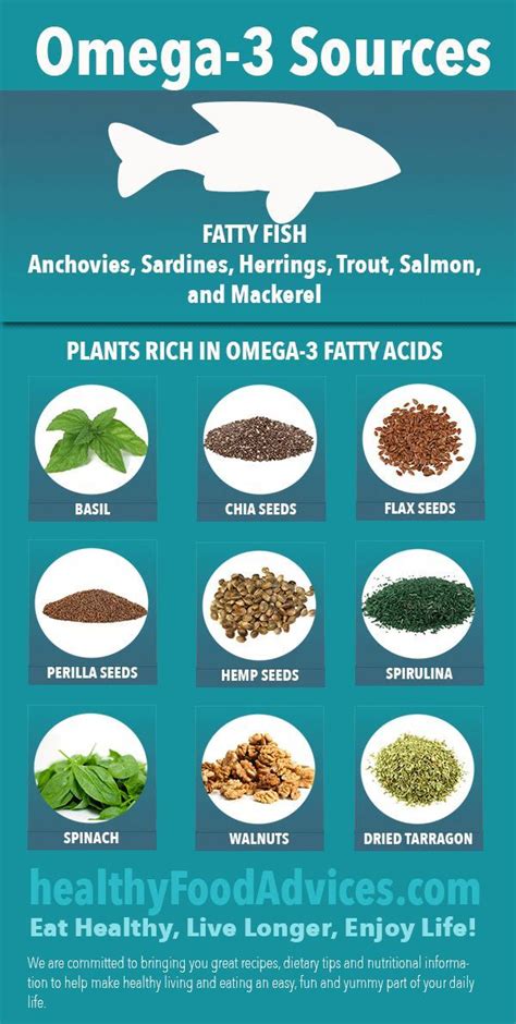 source of omega 3 for dogs